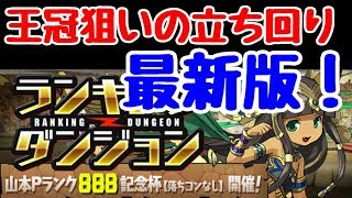 【パズドラ】アルゲディは罠？？王冠狙いの立ち回り最新版！！ 山本Pランク888記念杯 ランキングダンジョン