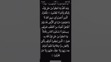 #سورة_البقرة #اكسبلور #المصحف #راحة_نفسية #قرآن #تيك_توك #لايك #دويتو
