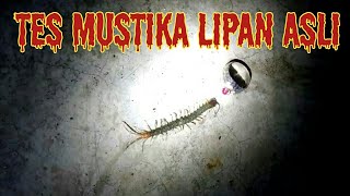 CARA TES MUSTIKA LIPAN ASLI