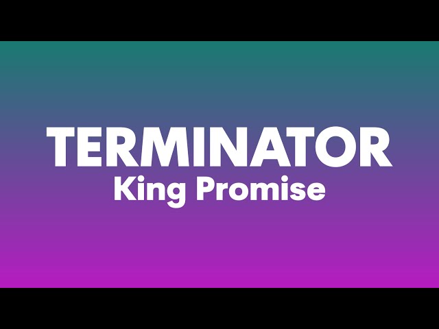 King Promise - Terminator (Lyrics)| I cos who're u to judge me, i be like terminator, i dey deliver class=