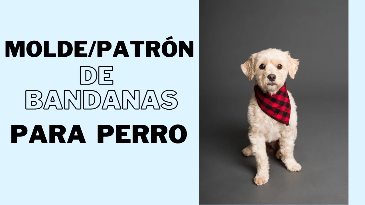 TE COMPARTO MOLDE/PATRÓN DE BANDANAS PARA