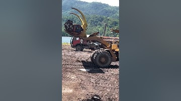 unloading logs use whelloader#constructionequipment #heavy #unloadingtruck#logs#whellloader#