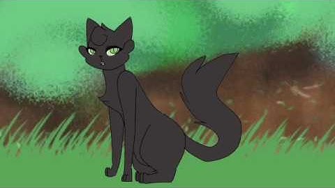 Oh no! || Hollyleaf MAP