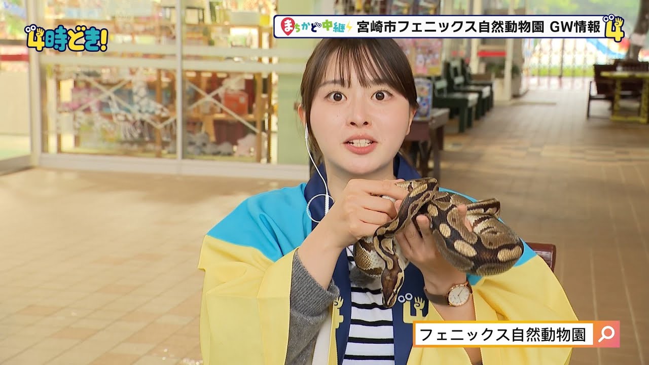 竹下凜アナがヘビにキュン！？『宮崎市フェニックス自然動物園』GW情報