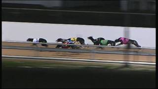 HOR TUE 08 AUG 17 R11