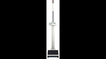seca 769 Digital Column Scale with BMI