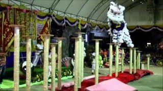 สุดยอดมหกรรมสิงโตบนเสาดอกเหมยที่วัดบางแวก ลูกหลวงพ่อแพ 01