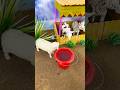 Sheep Enjoys Water | Mini Hand Pump Project 🐑 |#shorts #youtubeshorts