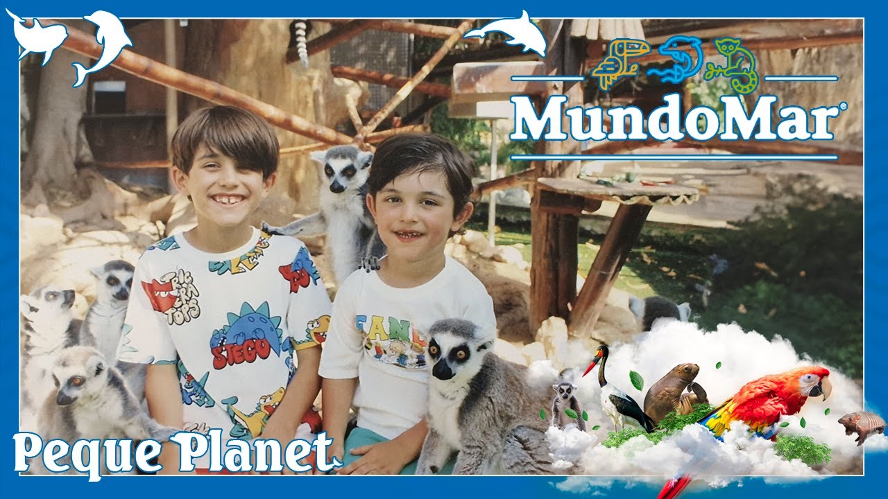 🐬 MUNDOMAR BENIDORM 🐬