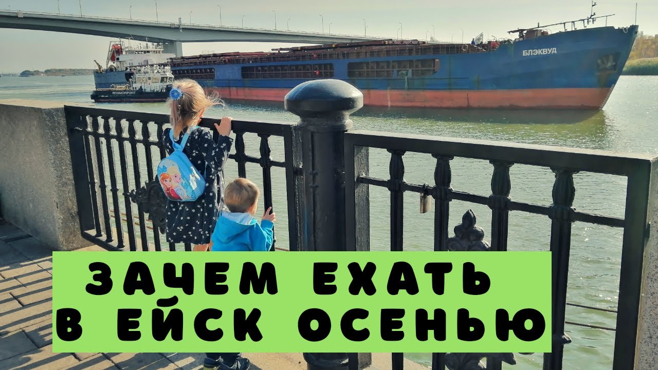 Сыктывкар ейск на машине