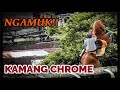 CANTER RINGAN KUDA KAMANG CHROME ll EMERAL STABLE ll GELANGGANG BUKIT AMBACANG ll KURIAK_KUSUIK