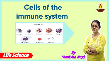 Cells of immune system | CSIR NET/Life Science, IMMUNOLOGY, immune system and their functions