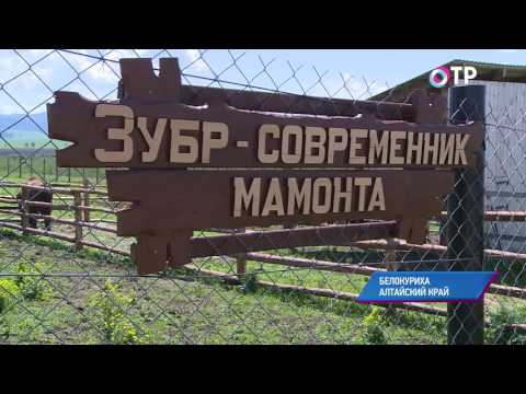 Малые города России: Белокуриха - "сибирская Швейцария"