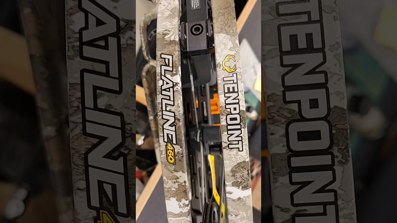 Neues Spielzeug bei Black Bow 