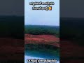 చాలా అందమైనది నేచురల్ ఫారెస్ట్ 🌲🌳 #shorts #save #nature #forest #tree #support #life #love #birds