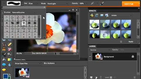 Photoshop Elements 9.0 Tutorial Using the Brush Preset Picker Adobe Training Lesson 7.1
