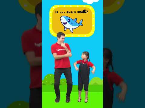 Cùng bé học từ vựng tiếng Anh trái nghĩa left and right