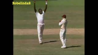 Patrick Patterson 539 Vs Australia 1988 Mcg
