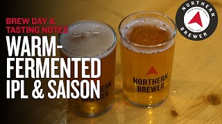 Pushing the Limit: Warm-Fermented IPL & Saison Homebrews