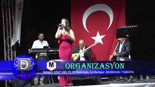 Ceylan Candan - Unutursun Resimi