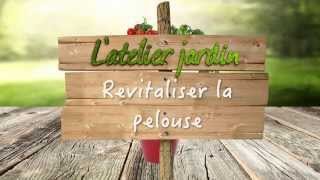 Revitaliser la pelouse