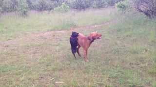 Naomi Patterdale & Herro 2