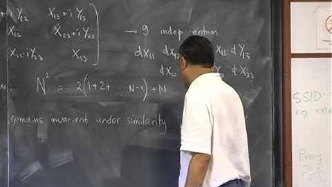 Satya Majumdar - Introduction to random matrix theory (2)