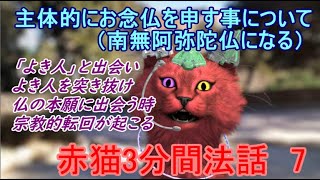 赤猫3分間法話7　主体的に南無阿弥陀仏になるということ