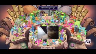 Chipi chipi Chapa Chapa msm composer(Dead and outdated)