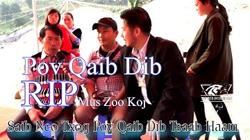 Saib Nco Txog Pov Qaib Dib Tsaab Haam