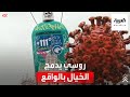 شاب روسي يدمج الخيال بالواقع عبر تصاميم في غاية الدقة والاحتراف