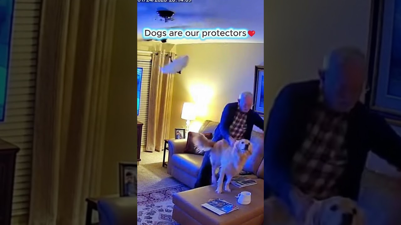 Dog Protects Owner — Heartwarming Moment!