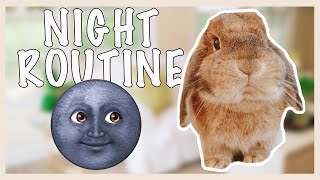 Bunny Night Routine