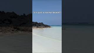 Ethiopian Airlines Flight 961 [Kerosene Edit]  #aviation #kerosene #mayday