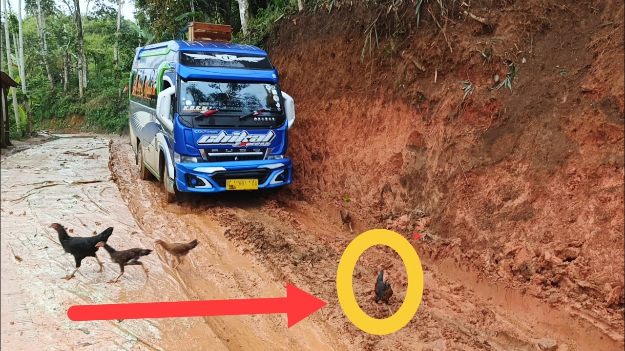 Bis gunung gagal nembus jln ketutup🚩Sulitnya Medan berat pedalaman Cianjur Singkup,roda ngepot