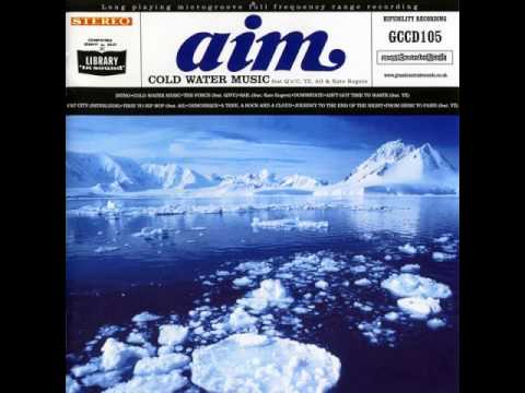 Aim - Cold Water Music 2LP 1999オリジナル Cold Water Music (Remastered) | Aim