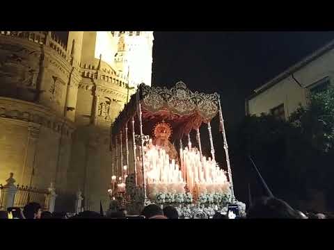 Antigua y Fervorosa Hermandad de la Santa Cruz y Cofradía de Nazarenos del Santísimo Cristo de la Misericordia y Nuestra Señora de la Piedad, Patriarca Bendito Señor San José y María Santísima de la Caridad en su Soledad