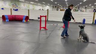 Bell Agility Foundations