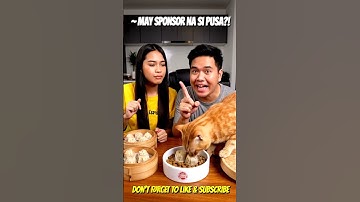 #cats, #catshorts, #cutecats, #kittens, #funnycats, #animalshorts, #catvideos