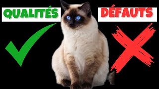 Entrez Dans Le Monde Fascinant Des Chats Siamois ! by HistoireDesAnimaux 661 views 4 months ago 5 minutes, 45 seconds