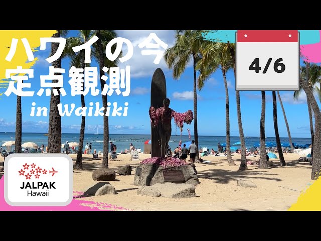 THPヨーヨー  ハワイ  ホノルル ハワイの今】ワイキキ定点観測 2026年4月6日 - YouTube