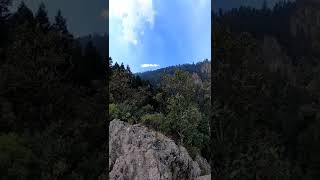 Disfrutando de la hermosa vista. #mexico #short #nature #naturaleza #senderismo #mountains