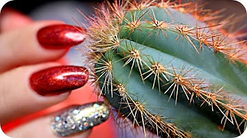 ASMR Sensitive Sounds for Sleep & Tingles 🌵(NO TALKING) Crisp, Crinkly, Crunchy, Relaxing & TINGLY ✨