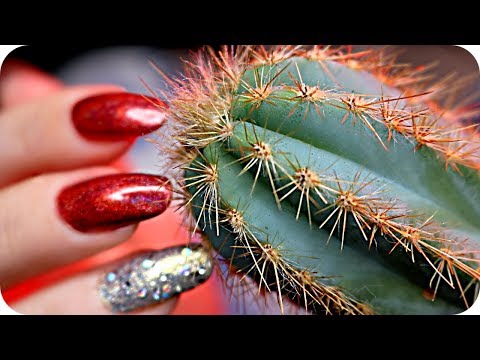 ASMR Sensitive Sounds for Sleep & Tingles 🌵(NO TALKING) Crisp, Crinkly, Crunchy, Relaxing & TINGLY ✨