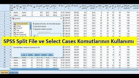 Split File ve Select Cases komutlarının uygulanışı