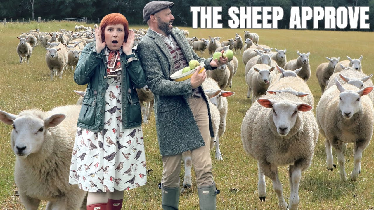 A Cosy Autumn Farm Life in England 🍂🐑