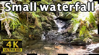 Small waterfall in a primitive forest  1Hour 4K Video | Study, Work, Relax