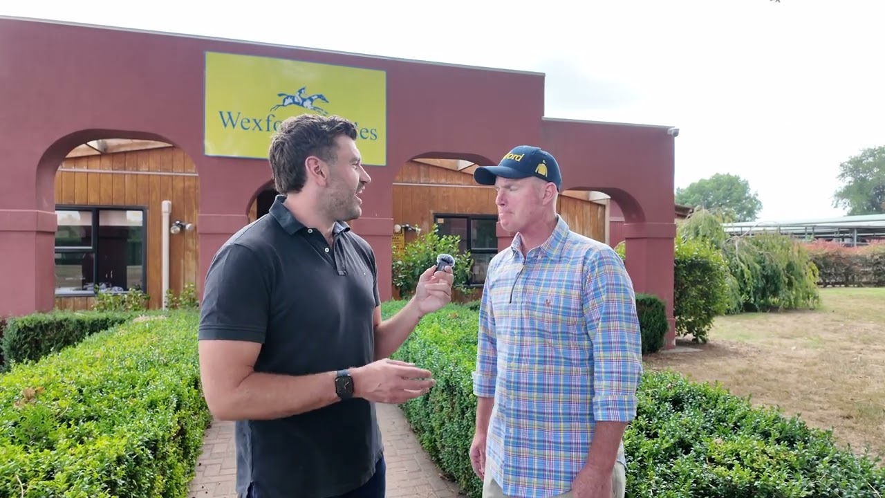 Underdog vs. Giants! Can this little filly win the $3.5M NZB Kiwi?