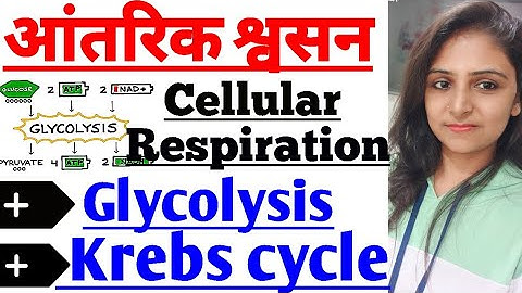 आंतरिक श्वसन | Cellular Respiration #Glycolysis #KrebsCycle /Tgt/LT grade/PGT/RPSC/GIC/DSSSB/NET/JRF