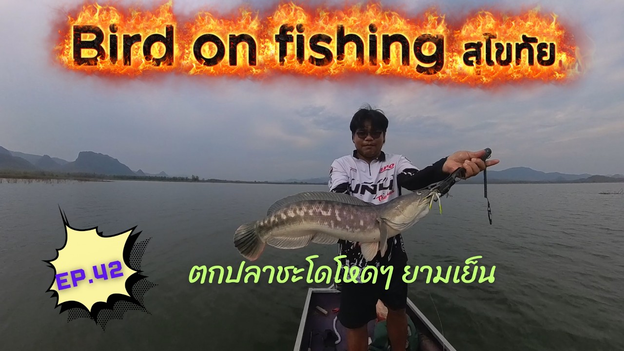 EP.42 ตกปลาจิบโหดๆ ยามเย็น #ตกปลาชะโด #ตกปลากระสูบ #fishing #xbait #เต็มคำ